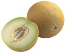 Meloen (Galia)