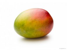 Mango (Vlieger)